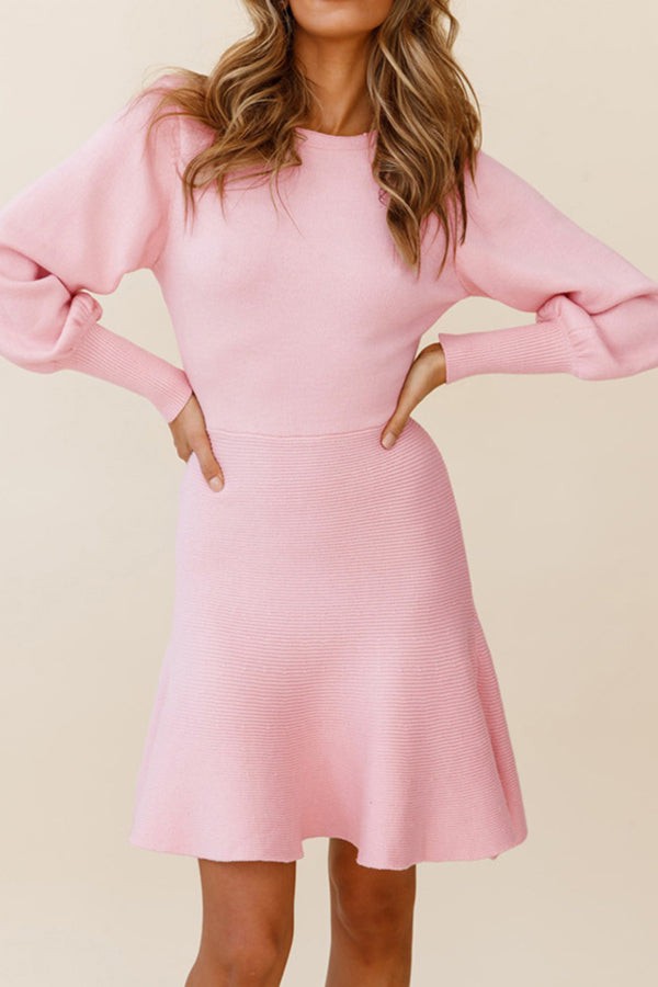 Elegant Round Neck Knits Sweater Dress