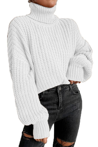 Efficiently Errands High Neck Long Sleeve Chunky Knit Top