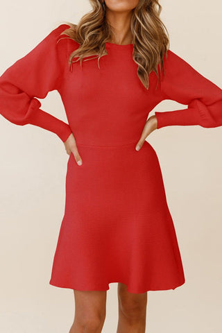 Elegant Round Neck Knits Sweater Dress