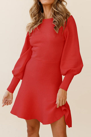 Elegant Round Neck Knits Sweater Dress