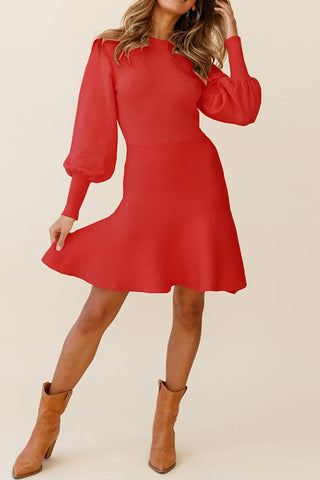 Elegant Round Neck Knits Sweater Dress