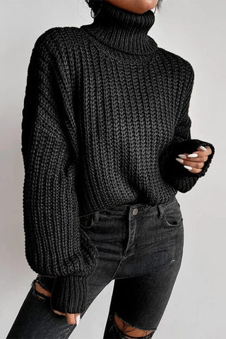 Efficiently Errands High Neck Long Sleeve Chunky Knit Top