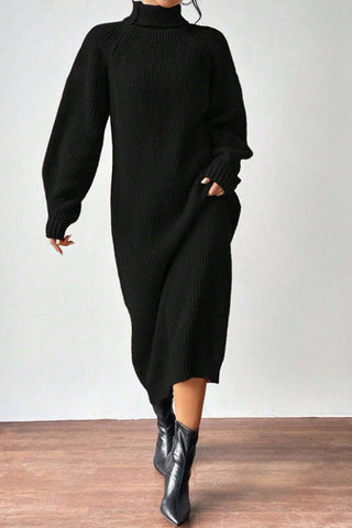 Cozy Turtle Neck Long Sleeve Knit Dress