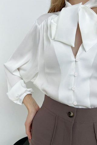 Luxe V-neck Lantern Sleeve Blouse