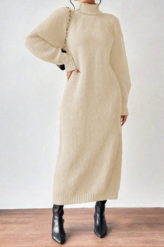 Cozy Turtle Neck Long Sleeve Knit Dress