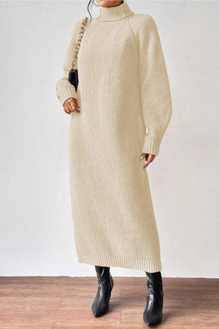 Cozy Turtle Neck Long Sleeve Knit Dress