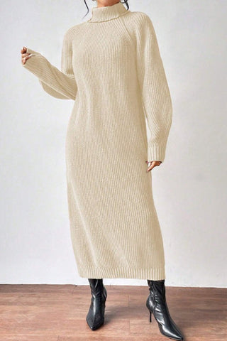 Cozy Turtle Neck Long Sleeve Knit Dress