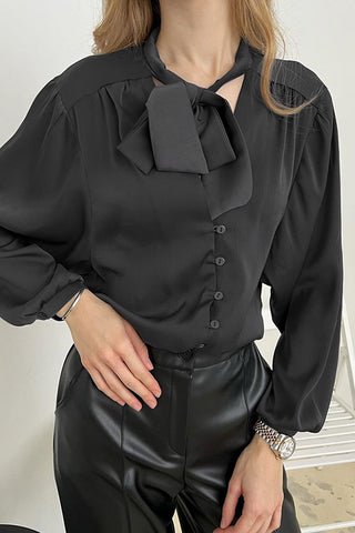 Luxe V-neck Lantern Sleeve Blouse