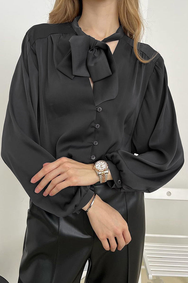 Luxe V-neck Lantern Sleeve Blouse