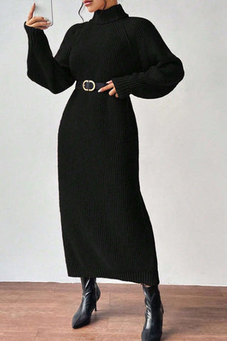 Cozy Turtle Neck Long Sleeve Knit Dress