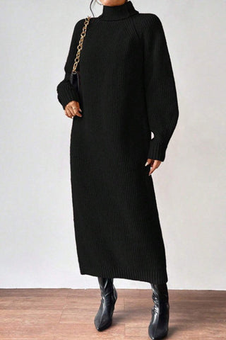 Cozy Turtle Neck Long Sleeve Knit Dress