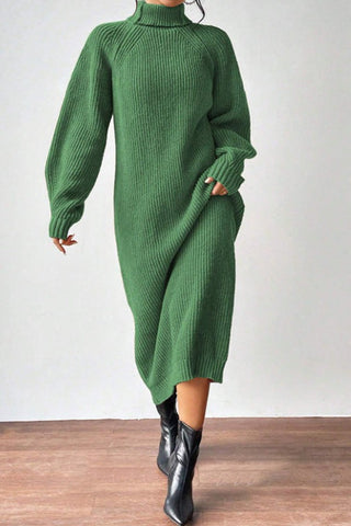 Cozy Turtle Neck Long Sleeve Knit Dress