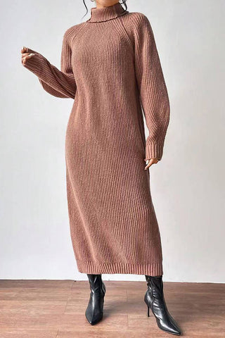 Cozy Turtle Neck Long Sleeve Knit Dress