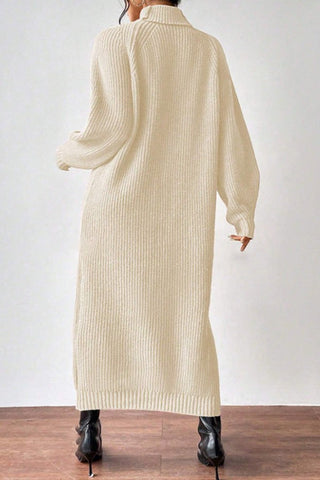 Cozy Turtle Neck Long Sleeve Knit Dress