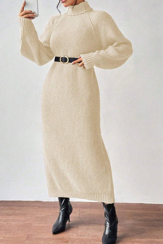 Cozy Turtle Neck Long Sleeve Knit Dress