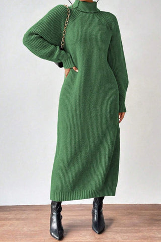 Cozy Turtle Neck Long Sleeve Knit Dress