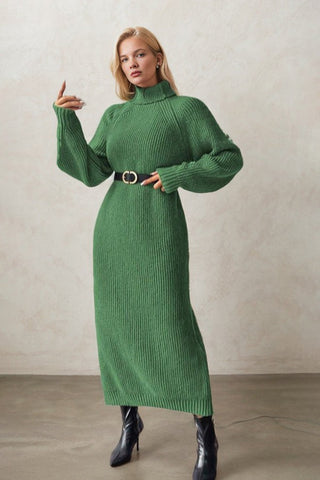 Cozy Turtle Neck Long Sleeve Knit Dress