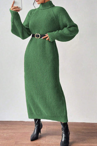 Cozy Turtle Neck Long Sleeve Knit Dress